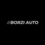 Borzi Auto srls
